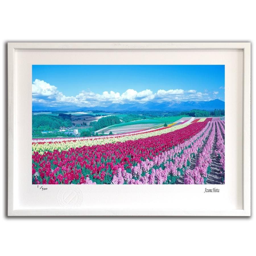 版画 絵画 花001 美瑛 堀田東 絵画 壁掛け 壁飾り インテリア 油絵 花 アートパネル ポスター 絵 額入り…