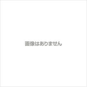 ナガノ ちいかわ なんか小さくてかわいいやつ(9) なんか書けて飾れるポストカードブック付き特装版 COMIC