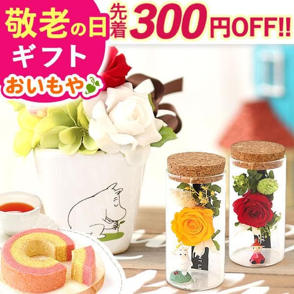敬老の日 プレゼント 2026 ギフト 花 誕生日プレゼント お祝い ムーミン 花とスイーツ スイーツ…