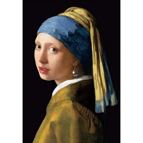 ジグソーパズル 300ピース 真珠の耳飾りの少女 26×38cm 300-207